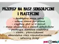 Przepisy na masy sensoryczne i plastyczne: masa solna, zimna porcelana, glut, ciastolina, ciasto pierniczkowe, ciecz nienewtonowska, sztuczny śnieg. Jak zrobić masę perłową?