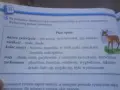 Opis zwierzęcia klasa 3: mała, chuda sarenka o beżowej sierści w białe cętki, płochliwa i wystraszona.