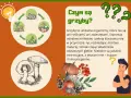 Ilustracja edukacyjna o grzybach dla przedszkola. Pokazuje cykl życia grzybów i ich znaczenie w przyrodzie.