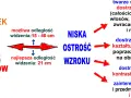 Jak widzi niemowlę: niska ostrość wzroku, widzi twarze, kontury, proste kształty i mocne kontrasty. Najlepsza odległość widzenia to 21 cm.