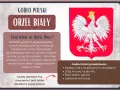 Legenda o orle białym opowiada o Lechu, który zobaczył białego orła na tle zachodzącego słońca. Godło Polski przedstawia białego orła ze złotą koroną.