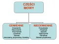 Schemat klasyfikacji części mowy dla klasy 4: odmienne (czasownik, rzeczownik, przymiotnik, liczebnik, zaimek) i nieodmienne (przysłówek, przyimek, spójnik, wykrzyknik, partykuła, zaimek przysłowny).