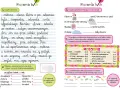 Dyktando ze zmiękczeniami klasa 2. Uzupełnij tekst o h/ch, rozwiązuj zadania z przysłowiami i słowami.