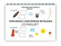 Sekwencje karty pracy: piórko, poduszka, słoń, ciężarek, pióro. Termometr, lód, słońce, kawa, lody.