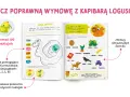 Ćwiczenia logopedyczne dla 3 latka z Logusiem: śledzenie węża Stefana, powtarzanie sylab i wyrazów, przyklejanie naklejek z rodziną węża.