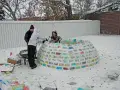 Rodzina buduje kolorowe igloo z lodu. Dzieci pomagają, układając bloki. Oto jak zbudować igloo!