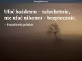 Ufać każdemu szlachetnie, nie ufać nikomu bezpiecznie. Polskie przysłowia na luty przypominają o mądrości. Mglisty krajobraz z samotnym drzewem.