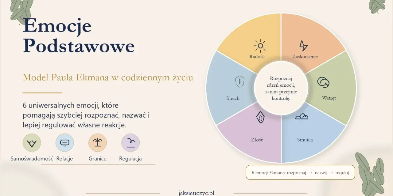Model Ekmana: nauka emocji dla dzieci. Rozpoznaj 6 podstawowych emocji, nazwij je i naucz się nimi zarządzać.