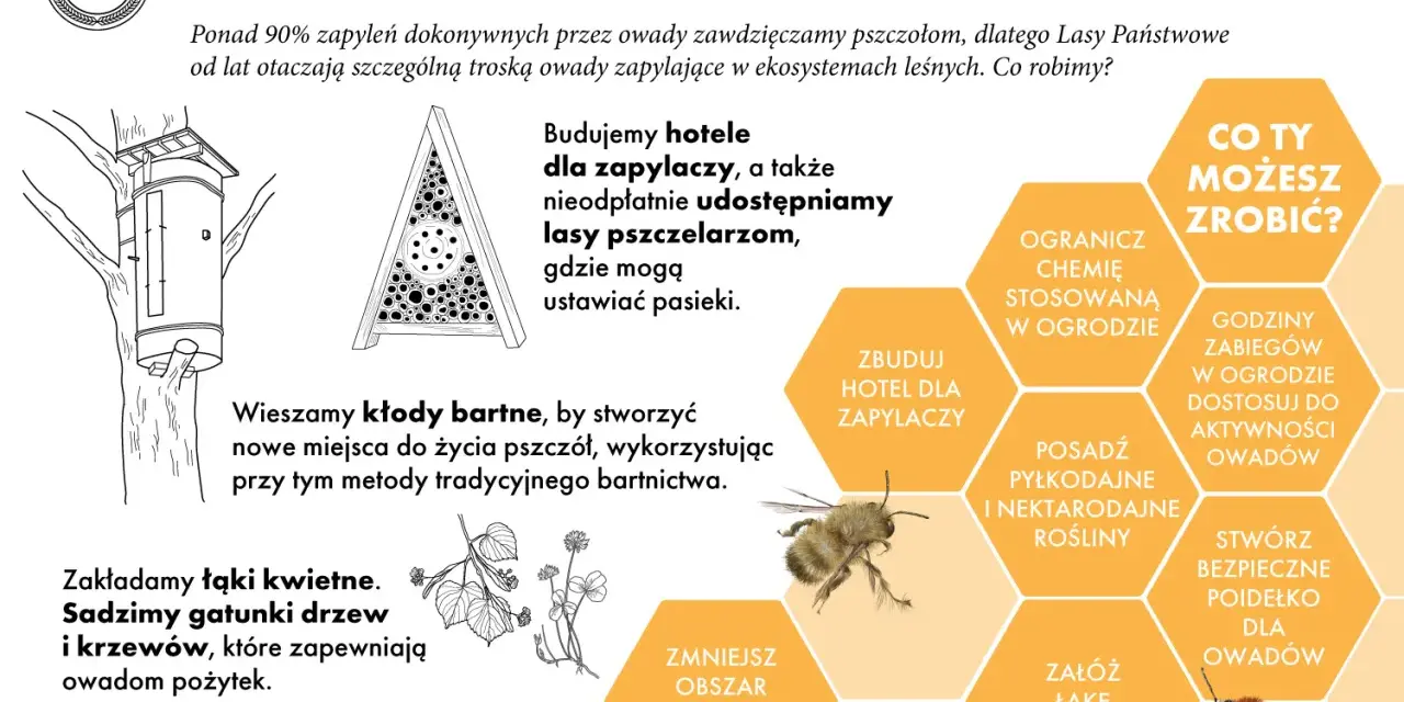 Ilustracja edukacyjna o pszczołach i innych zapylaczach. Pokazuje budowę hoteli dla owadów, kłody bartne i łąki kwietne. Wskazuje, jak pomóc pszczołom, np. sadząc rośliny miododajne.
