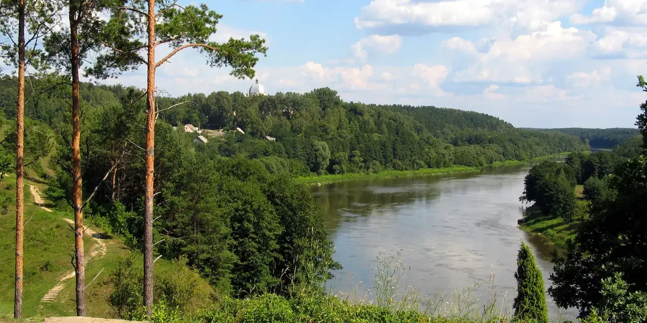 Malowniczy widok na rzekę Niemen, otoczoną lasami. W oddali widać kopułę kościoła, przykłady nazwy własne.