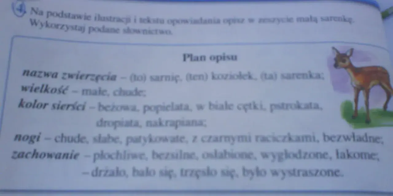 Opis zwierzęcia klasa 3: mała, chuda sarenka o beżowej sierści w białe cętki, płochliwa i wystraszona.