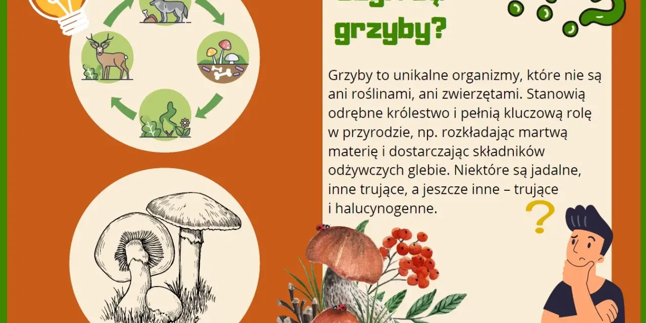 Ilustracja edukacyjna o grzybach dla przedszkola. Pokazuje cykl życia grzybów i ich znaczenie w przyrodzie.