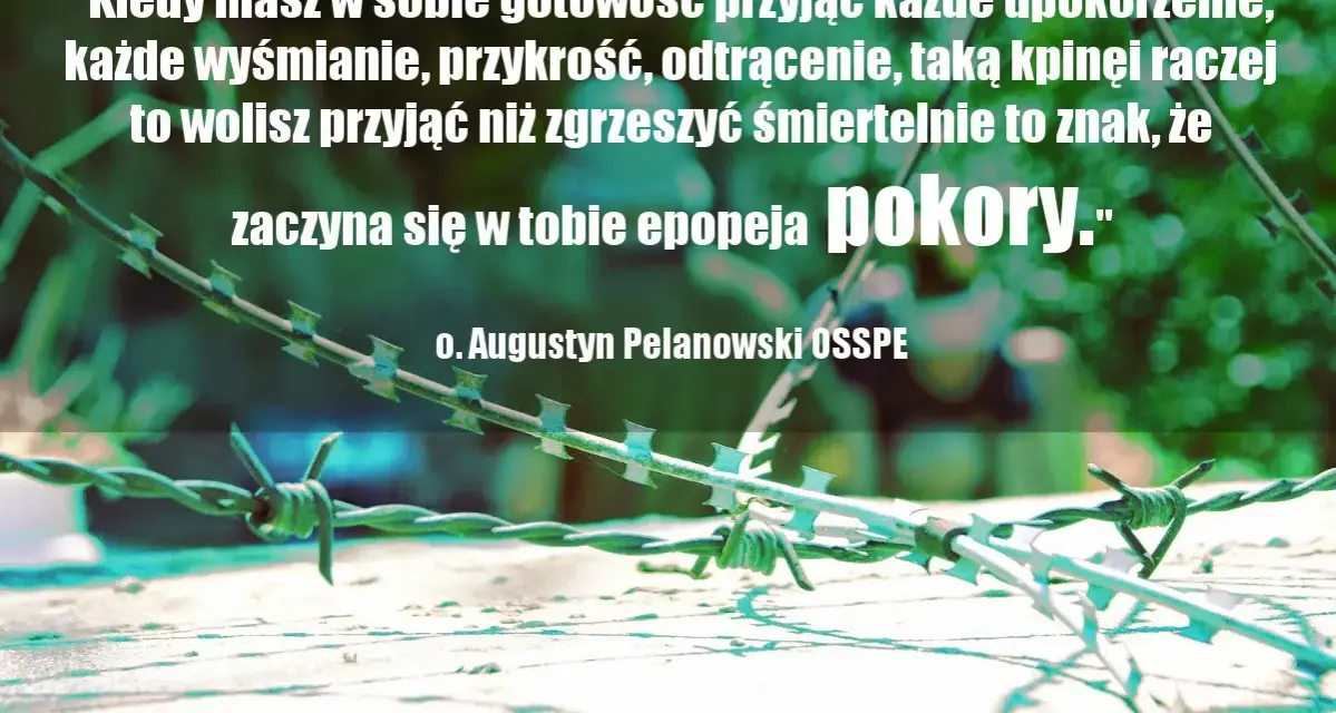 Mądre cytaty Polaków: o. Augustyn Pelanowski o pokorze. Kolczasty drut na tle zieleni.