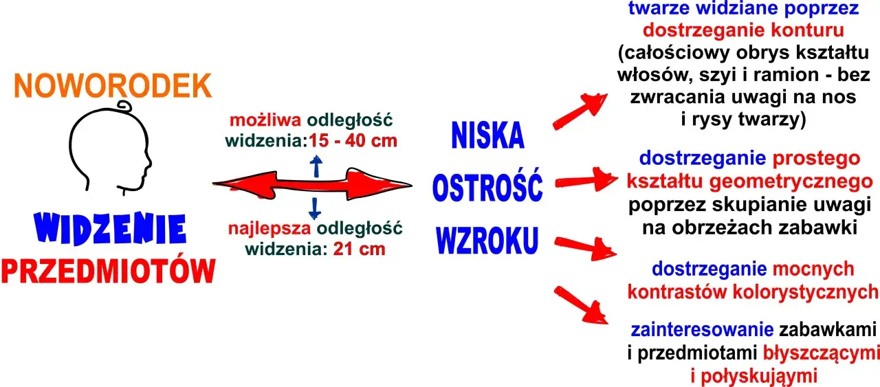 Jak widzi niemowlę: niska ostrość wzroku, widzi twarze, kontury, proste kształty i mocne kontrasty. Najlepsza odległość widzenia to 21 cm.