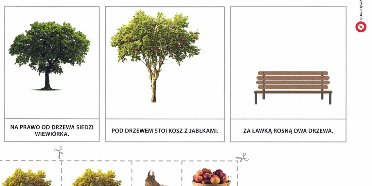 Karta pracy do nauki orientacji przestrzennej klasa 1: drzewa, ławka, kosz jabłek i wiewiórka.