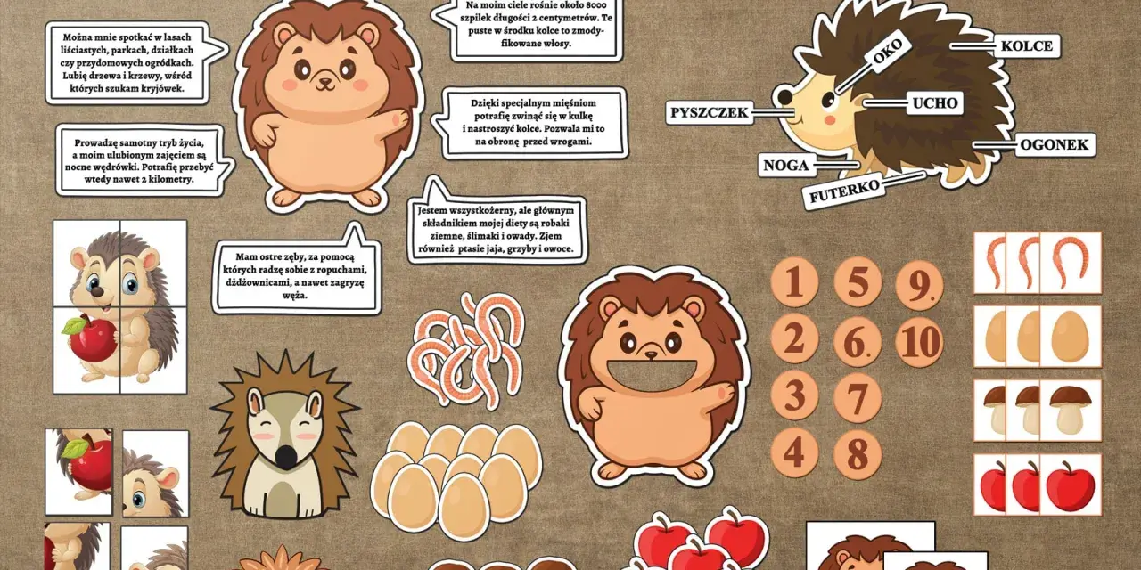 Dzień jeża pomysły: ilustracje jeży, ich budowa, dieta i zabawy edukacyjne.