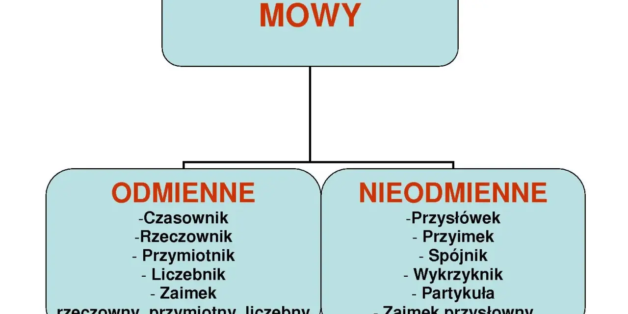Schemat klasyfikacji części mowy dla klasy 4: odmienne (czasownik, rzeczownik, przymiotnik, liczebnik, zaimek) i nieodmienne (przysłówek, przyimek, spójnik, wykrzyknik, partykuła, zaimek przysłowny).