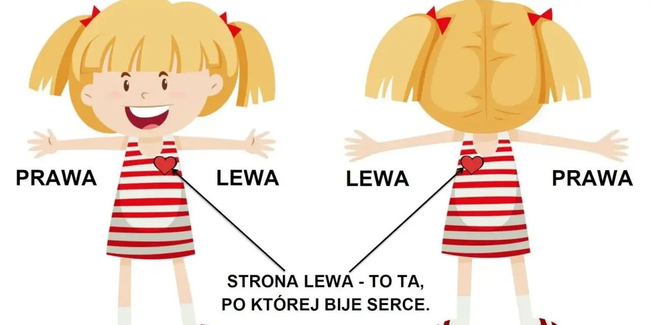 Karta pracy dla klasy 1: dziewczynka pokazuje prawą i lewą stronę. Lewa strona to ta, po której bije serce.