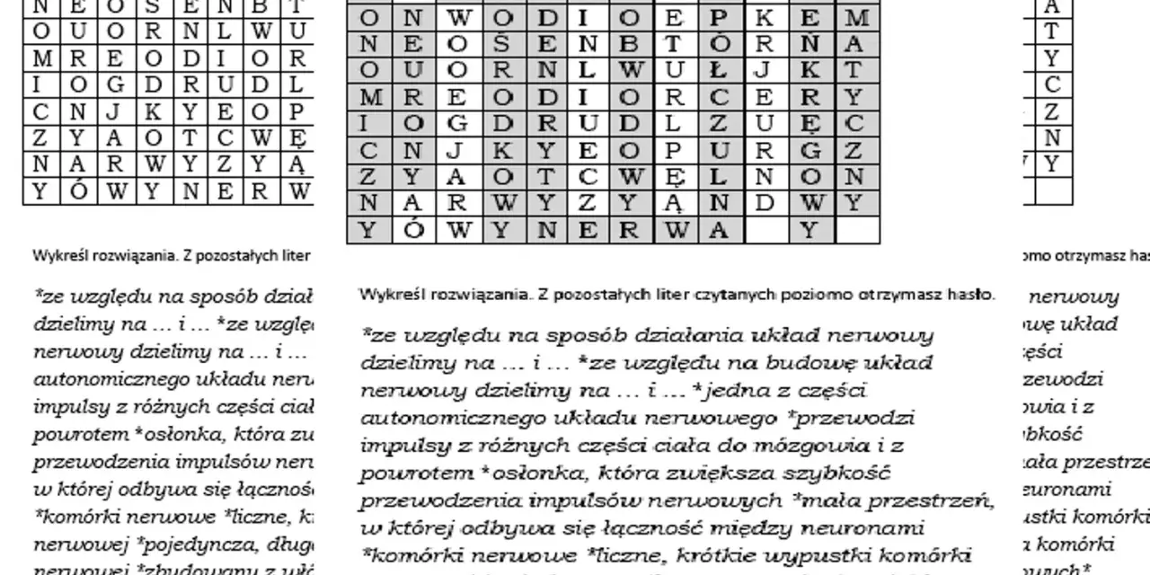 Wykreślanka z hasłem. Rozwiązanie ukryte w literach, tworzące hasło o układzie nerwowym.