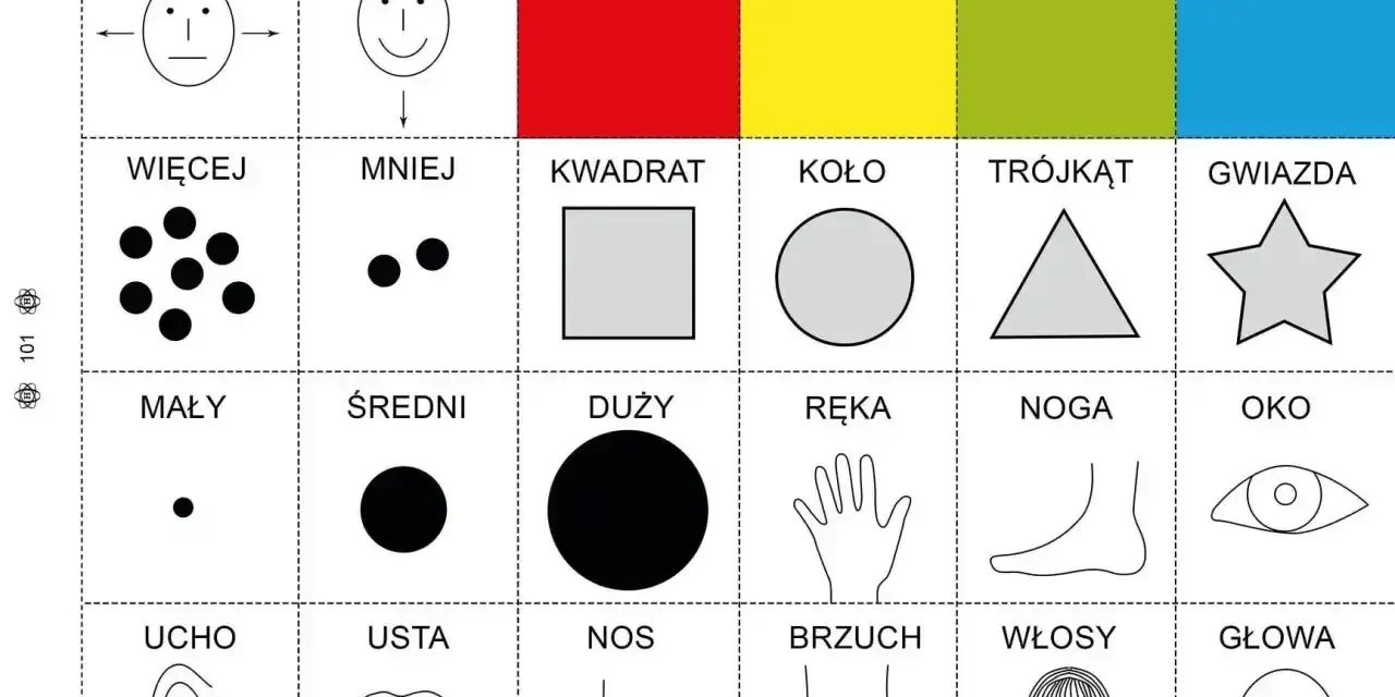 Karty pracy dla 4 latka: kolory, kształty, liczby, części ciała. Nauka przez zabawę.