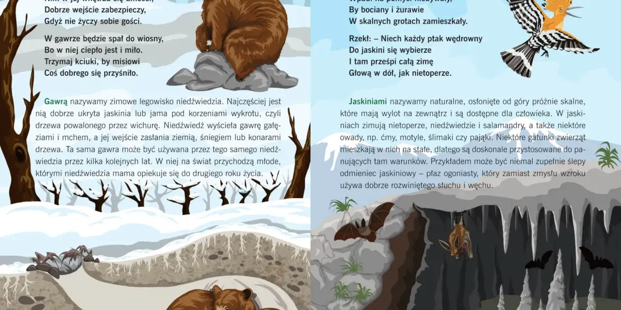 Zwierzęta i ich domy: niedźwiedź w gawrze, nietoperze i dudek w jaskini.