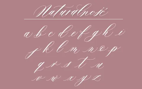 Elegancka kaligrafia alfabetu polskiego, litery a-z, pisane płynną, ozdobną czcionką.