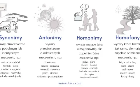 10 przykładów homonimów, antonimów, synonimów i homofonów. Obrazek przedstawia przykłady różnych typów wyrazów.