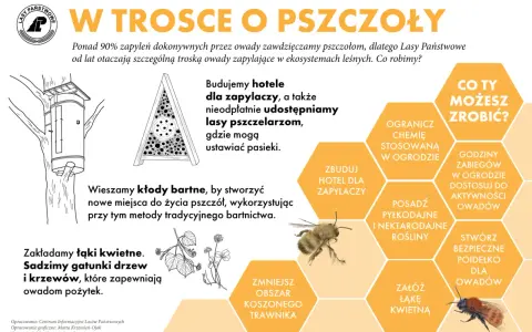 Ilustracja edukacyjna o pszczołach i innych zapylaczach. Pokazuje budowę hoteli dla owadów, kłody bartne i łąki kwietne. Wskazuje, jak pomóc pszczołom, np. sadząc rośliny miododajne.