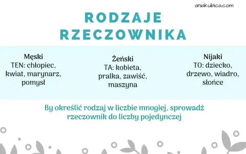 Rodzaje rzeczownika klasa 2: męski (ten), żeński (ta), nijaki (to). Przykłady: chłopiec, kobieta, dziecko.