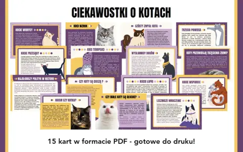 Ciekawostki o kotach dla dzieci: koty mają trzecią powiekę, a białe koty z niebieskimi oczami mogą być głuche.