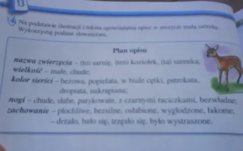 Opis zwierzęcia klasa 3: mała, chuda sarenka o beżowej sierści w białe cętki, płochliwa i wystraszona.