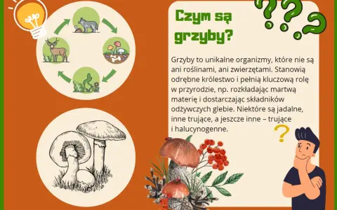 Ilustracja edukacyjna o grzybach dla przedszkola. Pokazuje cykl życia grzybów i ich znaczenie w przyrodzie.