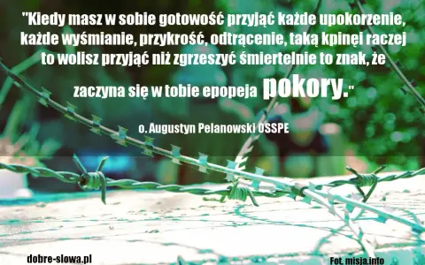 Mądre cytaty Polaków: o. Augustyn Pelanowski o pokorze. Kolczasty drut na tle zieleni.
