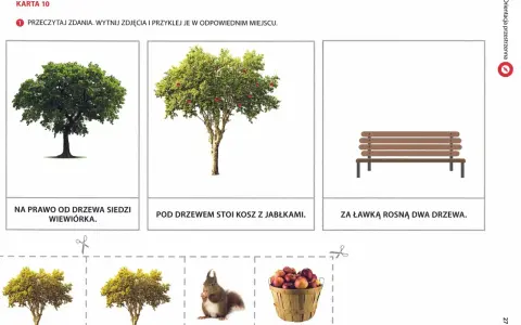 Karta pracy do nauki orientacji przestrzennej klasa 1: drzewa, ławka, kosz jabłek i wiewiórka.