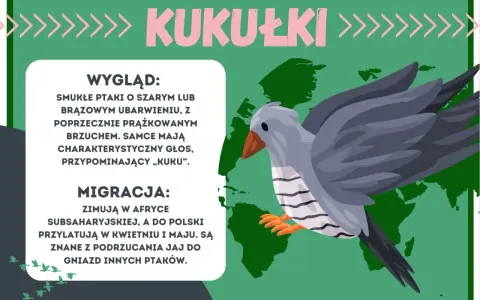 Kukułki, smukłe ptaki z charakterystycznym głosem, zimują w Afryce. Te ptaszki do druku są znane z podrzucania jaj do gniazd innych ptaków.