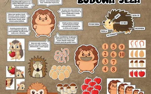 Dzień jeża pomysły: ilustracje jeży, ich budowa, dieta i zabawy edukacyjne.