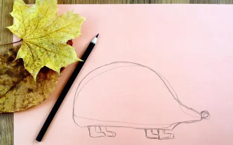 Ołówek i jesienne liście obok szkicu jeża. Zobacz, jak narysować jeża krok po kroku!