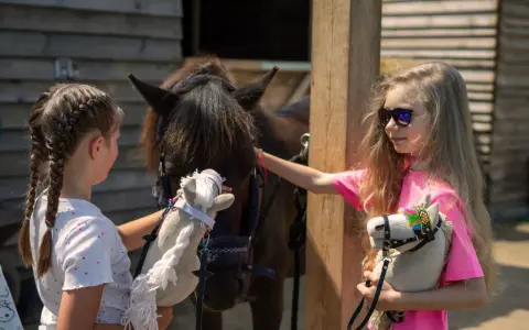 Dwie dziewczynki bawią się pluszowymi końmi. Jedna z nich głaszcze prawdziwego konia, a druga trzyma swojego hobby horse.