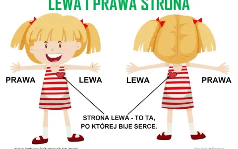 Karta pracy dla klasy 1: dziewczynka pokazuje prawą i lewą stronę. Lewa strona to ta, po której bije serce.