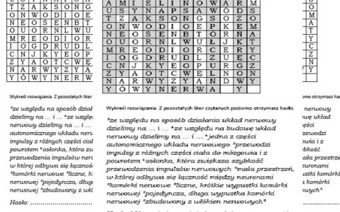 Wykreślanka z hasłem. Rozwiązanie ukryte w literach, tworzące hasło o układzie nerwowym.