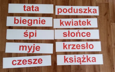 Karty do druku z wyrazami do nauki czytania globalnego: tata, biegnie, śpi, myje, czesze, poduszka, kwiatek, słońce, krzesło, książka.