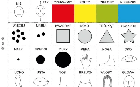 Karty pracy dla 4 latka: kolory, kształty, liczby, części ciała. Nauka przez zabawę.