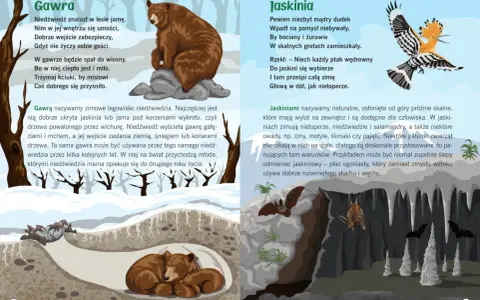Zwierzęta i ich domy: niedźwiedź w gawrze, nietoperze i dudek w jaskini.