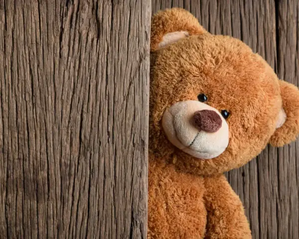 Miś wychyla się zza drewnianej deski. Dziś dzień pluszowego misia, więc pewnie czeka na przytulasy!