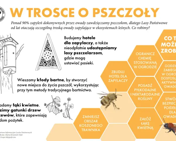 Ilustracja edukacyjna o pszczołach i innych zapylaczach. Pokazuje budowę hoteli dla owadów, kłody bartne i łąki kwietne. Wskazuje, jak pomóc pszczołom, np. sadząc rośliny miododajne.