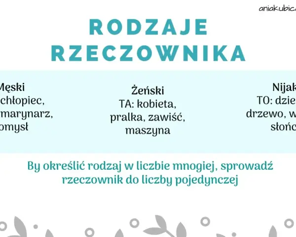 Rodzaje rzeczownika klasa 2: męski (ten), żeński (ta), nijaki (to). Przykłady: chłopiec, kobieta, dziecko.