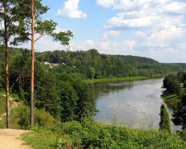 Malowniczy widok na rzekę Niemen, otoczoną lasami. W oddali widać kopułę kościoła, przykłady nazwy własne.