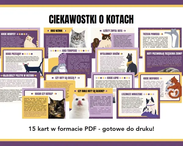 Ciekawostki o kotach dla dzieci: koty mają trzecią powiekę, a białe koty z niebieskimi oczami mogą być głuche.