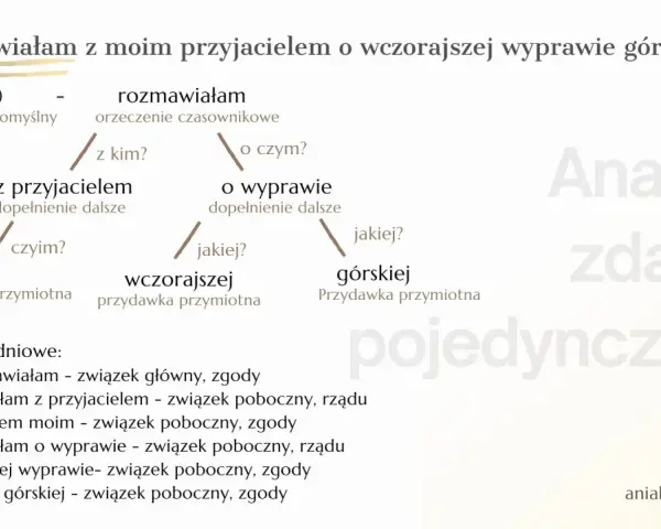 Analiza zdania pojedynczego: "Rozmawiałam z moim przyjacielem o wczorajszej wyprawie górskiej.