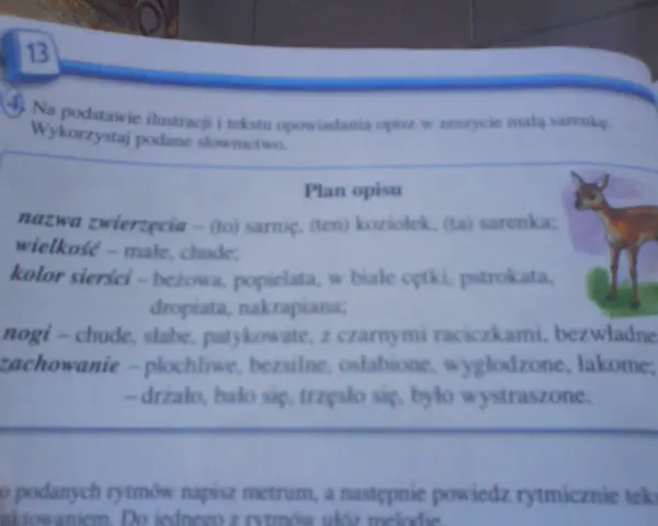 Opis zwierzęcia klasa 3: mała, chuda sarenka o beżowej sierści w białe cętki, płochliwa i wystraszona.